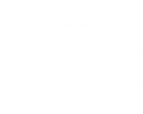 Mākslas departaments un scenogrāfija video projektiem ar izsmalcinātu estētiku.